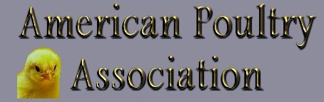chickbanner.jpg (15097 bytes)